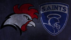 RoyRoo_raportti1_SamppaToivonen